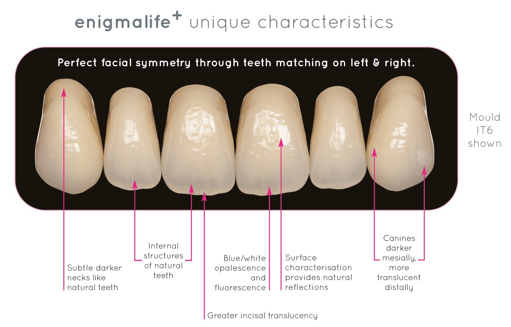 enigma teeth unique characteristics